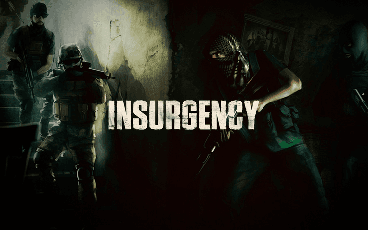 Insurgency