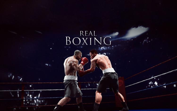 Real Boxing