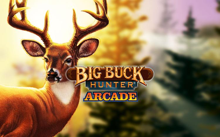 Big Buck Hunter Arcade