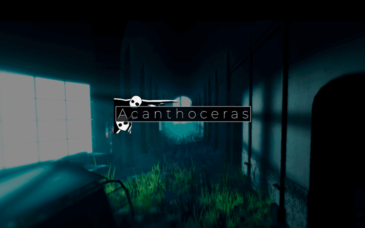 Acanthoceras
